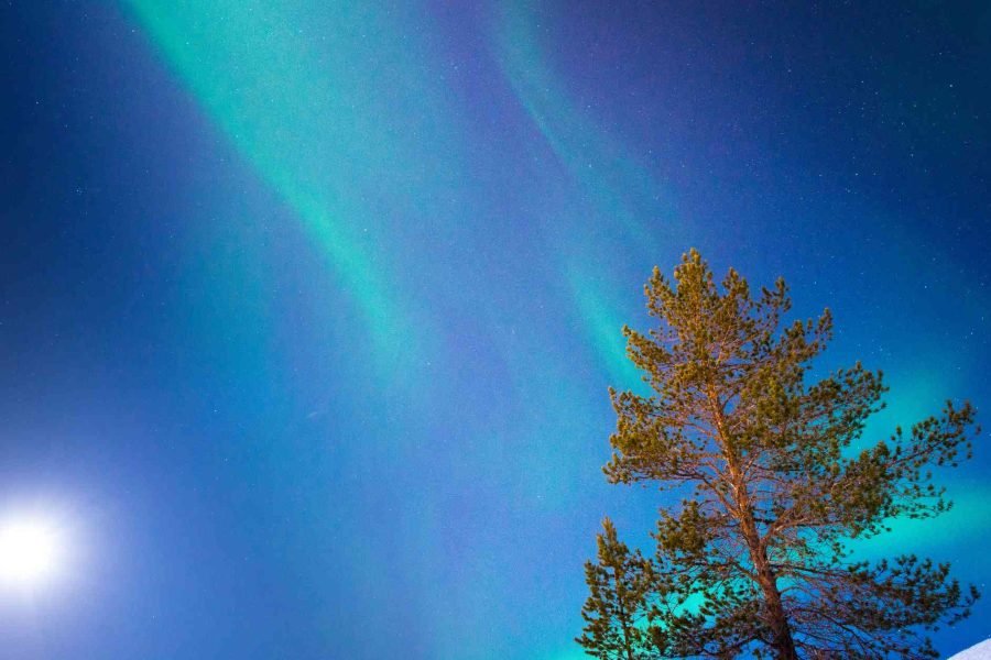 Northern lights shimmering in the night sky over snowy landscape