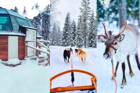 Collage of Glass Igloo, Husky Ride, and Reindeer in Rovaniemi