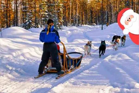 Husky sled in snowy landscape at Santa Claus Village tour with 500 meters husky ride.