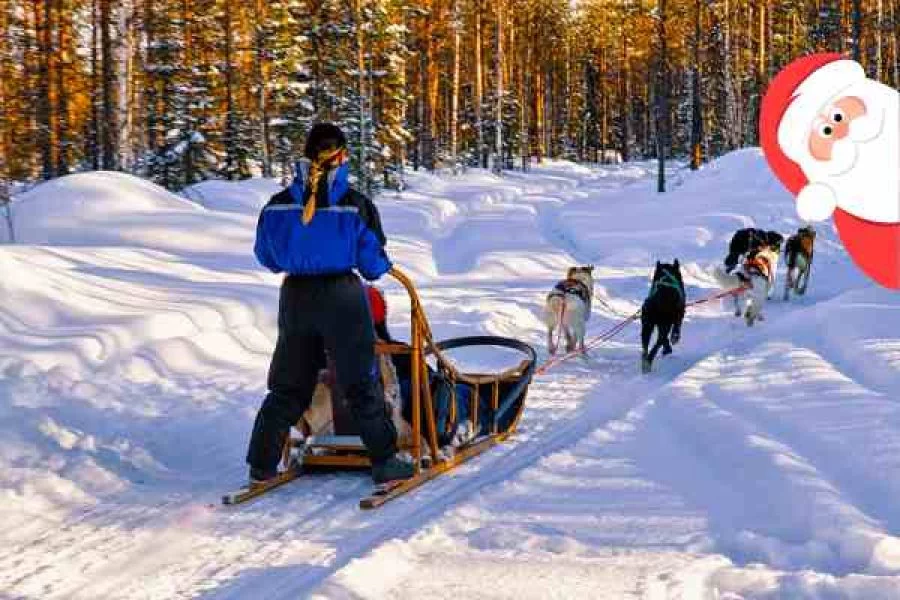 Husky sled in snowy landscape at Santa Claus Village tour with 500 meters husky ride.