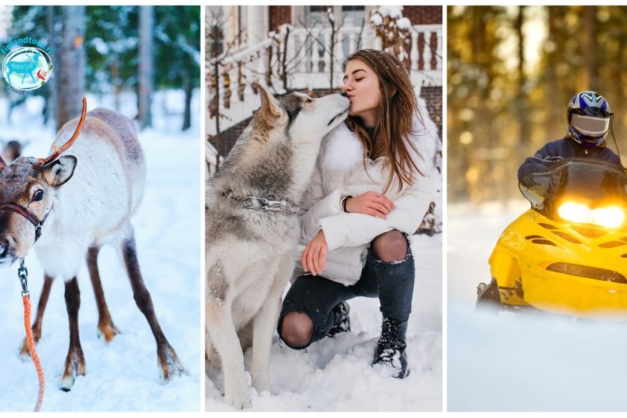 Collage featuring reindeer in Rovaniemi, a girl with a husky at a husky farm, and a snowmobile safari in Ivalo.