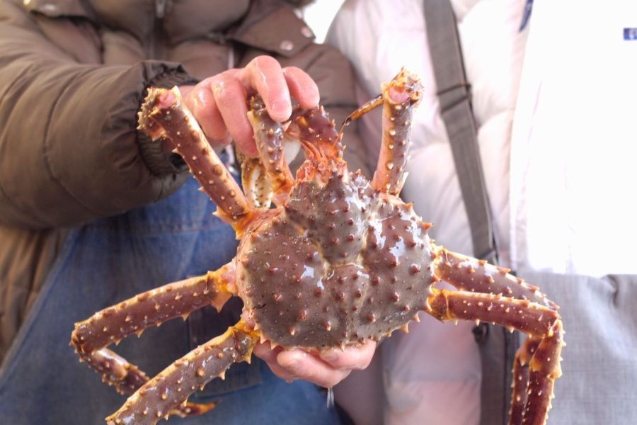 Crabs caught during a Crab Safari in Kirkenes, showcasing the 8 nights 9 days Finland itinerary with Crab hunt tour.