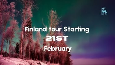 Snow-covered landscape at night with the Northern Lights illuminating the sky, representing details of a Finland tour starting on 21 February.