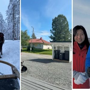 Collage of husky safari, residential housing in Rovaniemi, and Finlandtour.fi travelers in Kirkenes during the Finland & Norway tour with Northern Lights cruise
