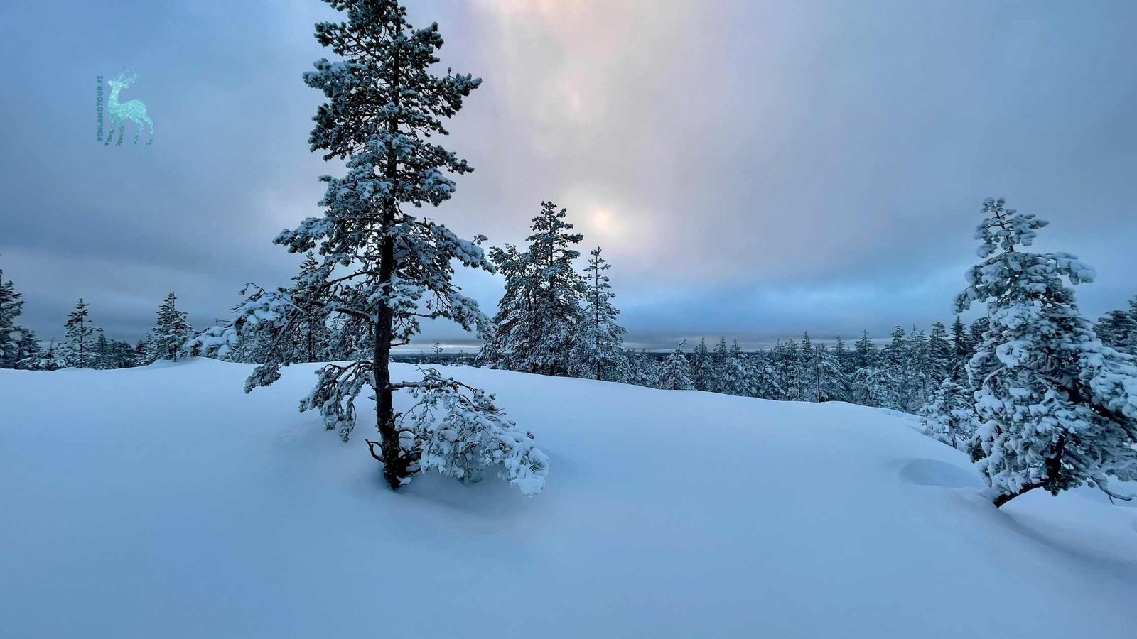 Finland Tour in November 2026