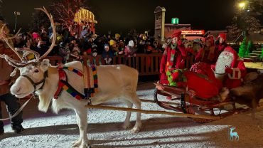 Santa's reindeer ride at Santa Claus Village