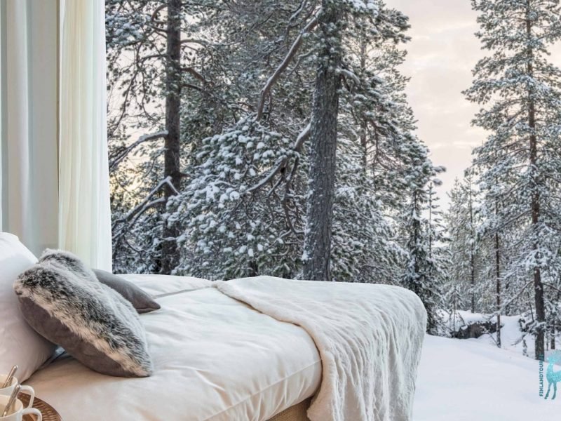 Arctic TreeHouse Double Suite