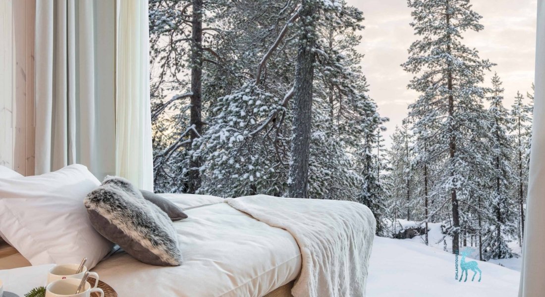 Arctic TreeHouse Double Suite