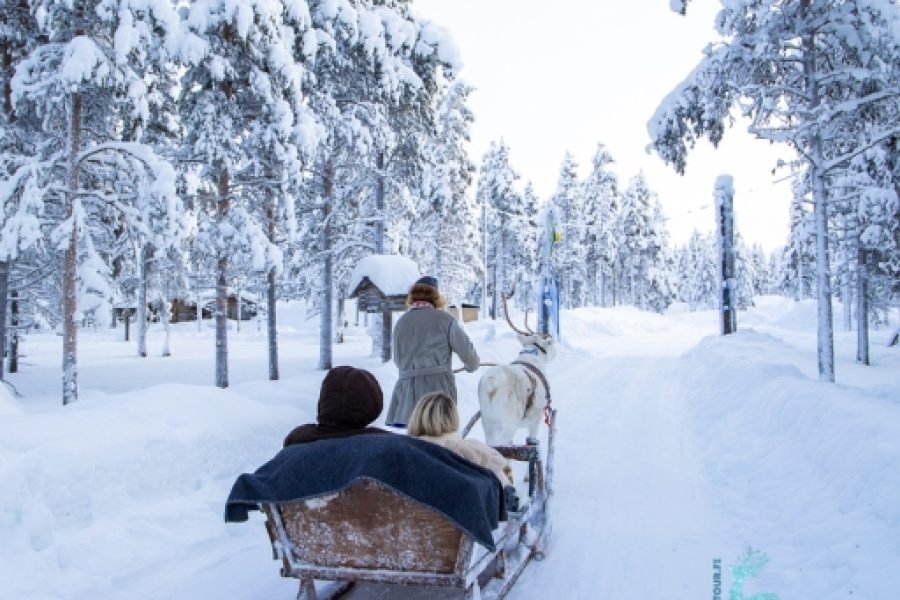 Finland tour in First week of January