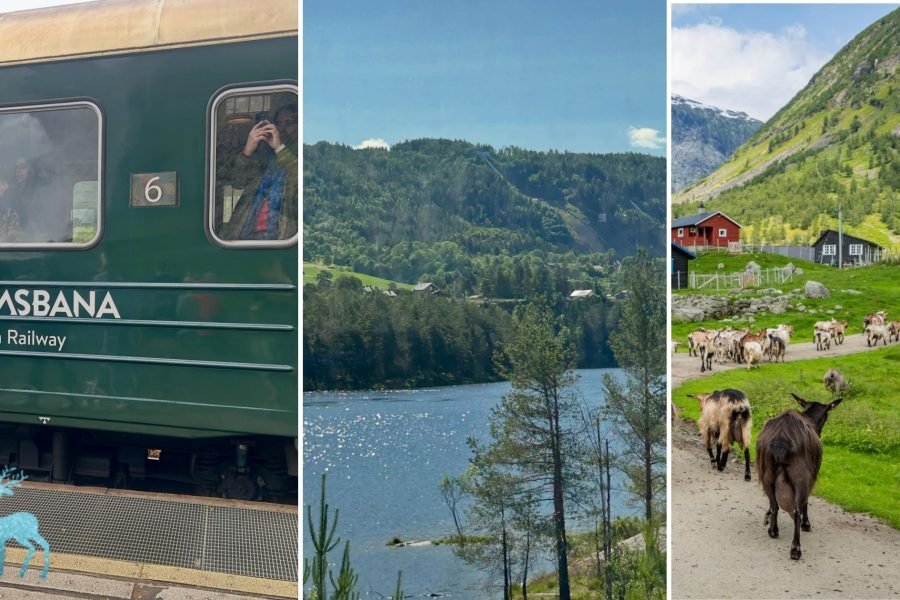 10 Day Norway tour - Collage of Flamsbana train, mountains & lakes in Norway